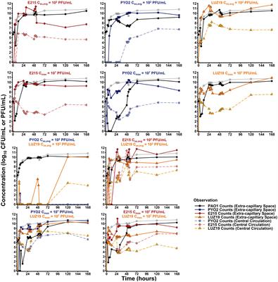 A mechanism-based pathway toward administering highly active N-phage cocktails